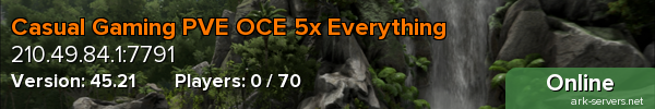Casual Gaming PVE OCE 5x Everything
